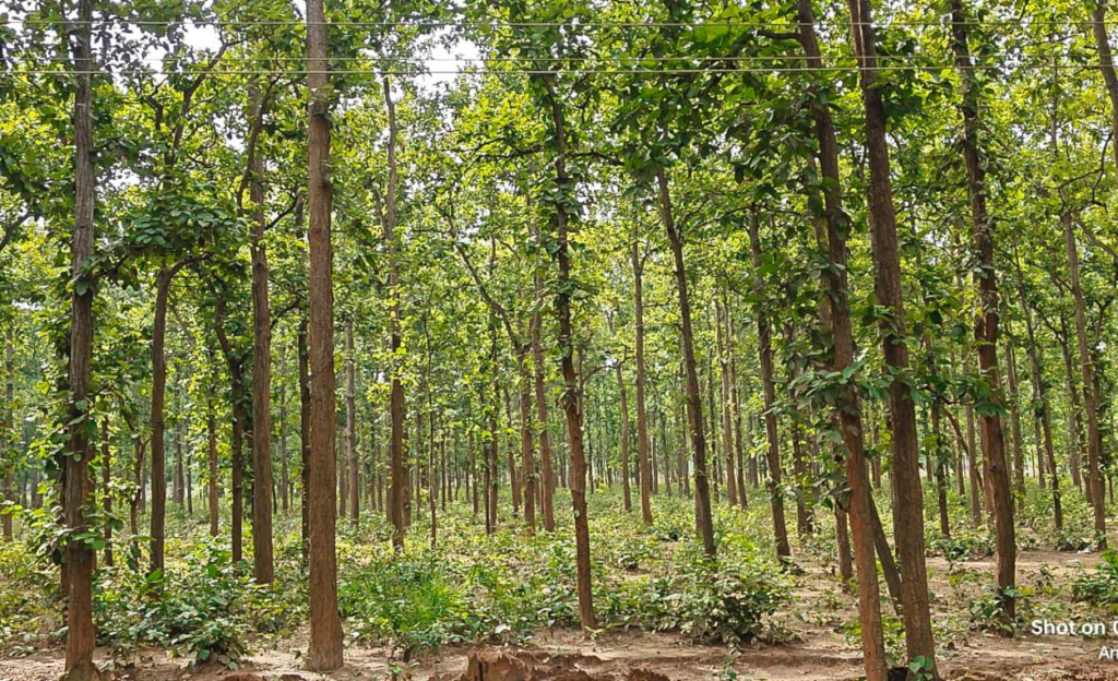 Jhargram Tour