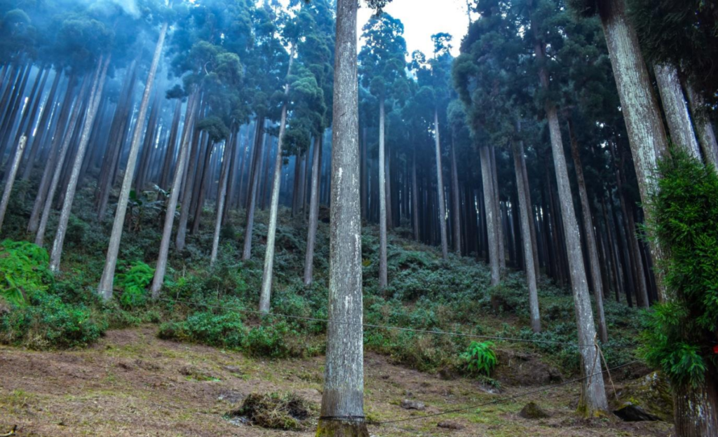 Lepchajagat